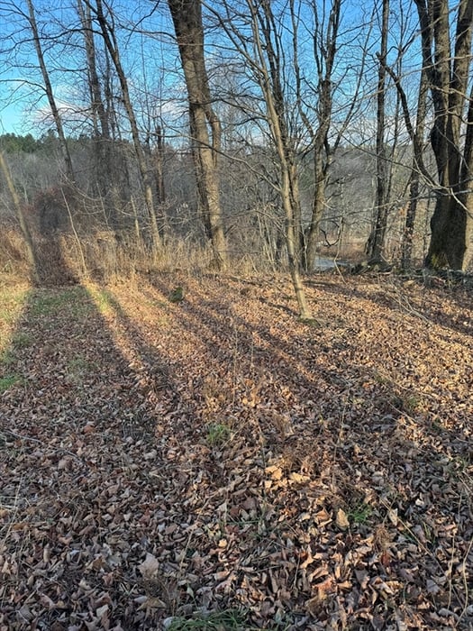 0 Stage Road Photo 12