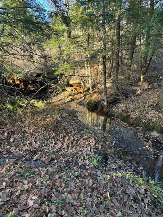 0 Stage Road Photo 3