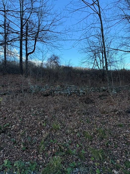 0 Stage Road Photo 5