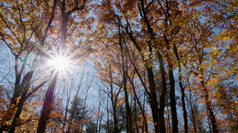 764 East Hill Road Photo 40