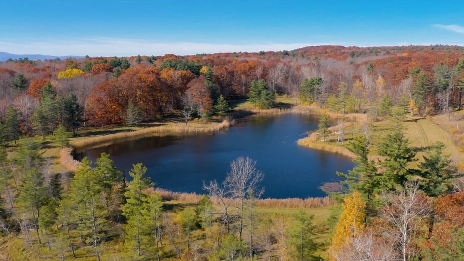 764 East Hill Road Photo 6