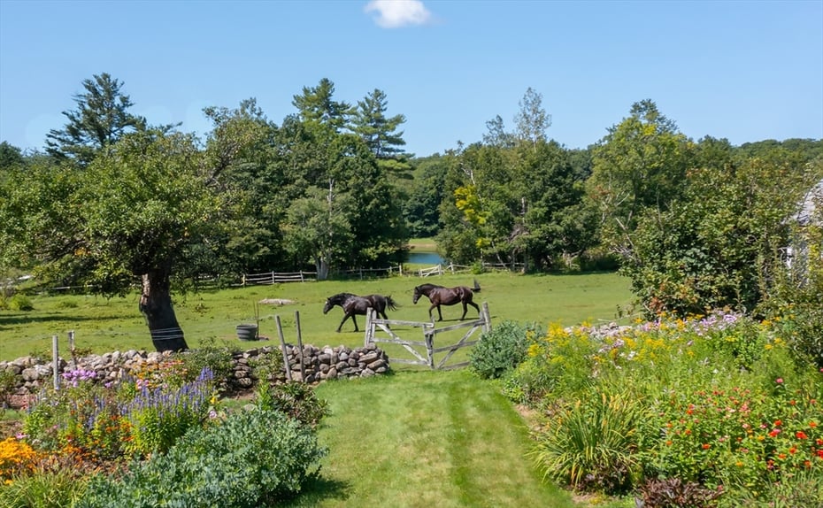 764 East Hill Road Photo 5