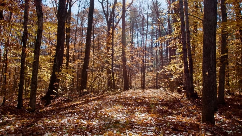 764 East Hill Road Photo 8