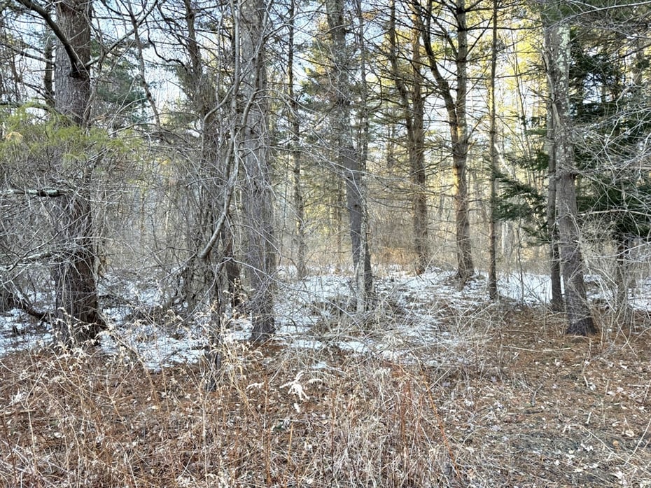 0 E Alford Rd Photo 5