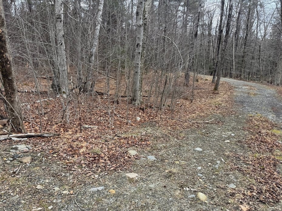 237 Trouble St Photo 2