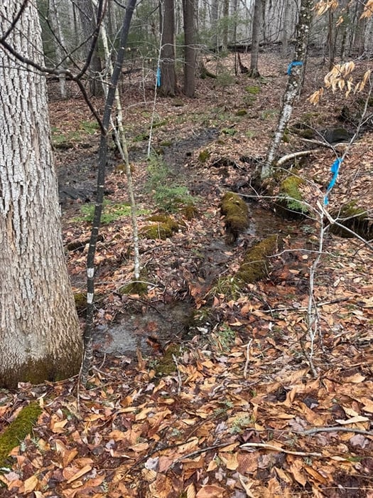 237 Trouble St Photo 8