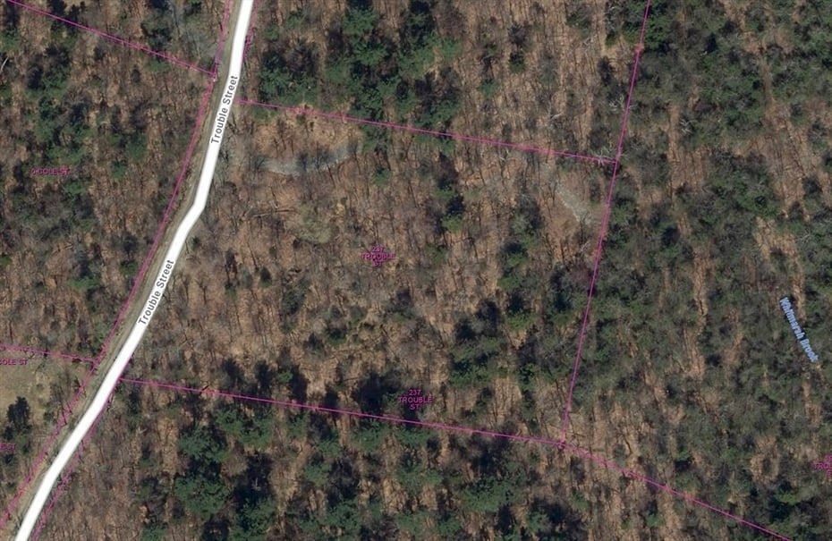 237 Trouble St Photo 10