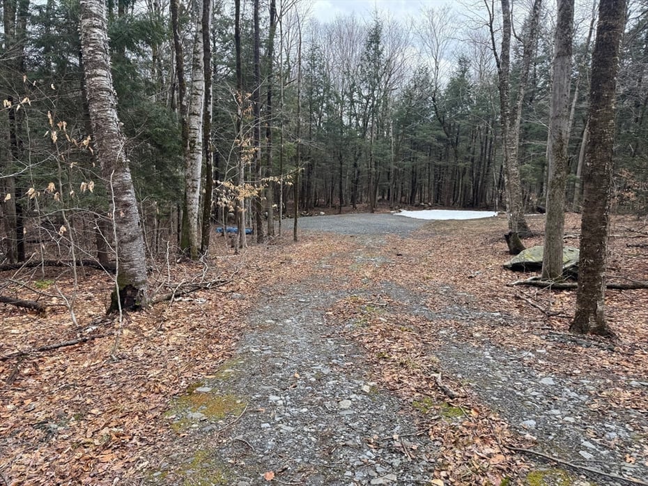 237 Trouble St Photo 5