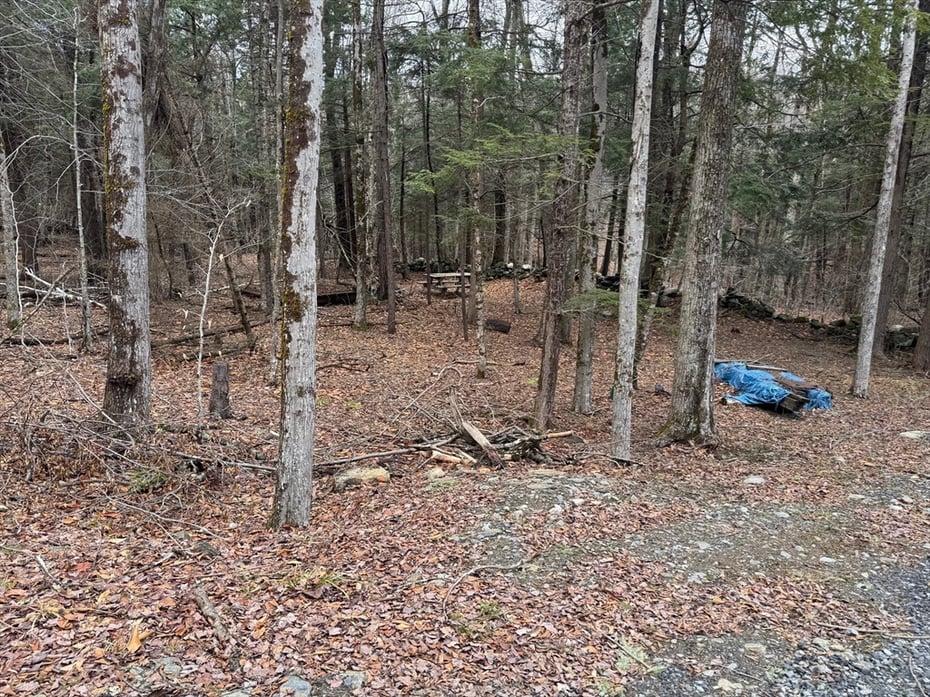 237 Trouble St Photo 3