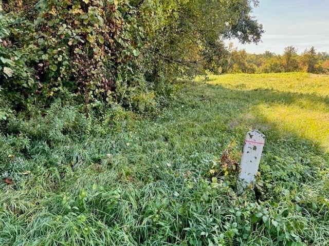0 Long Plain Road Photo 5