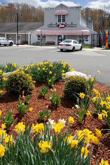 227 Russell Street Photo 2