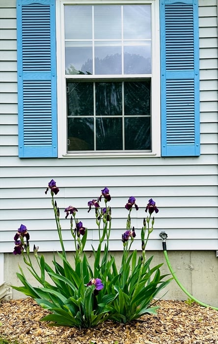 21 Pantry Rd Photo 2