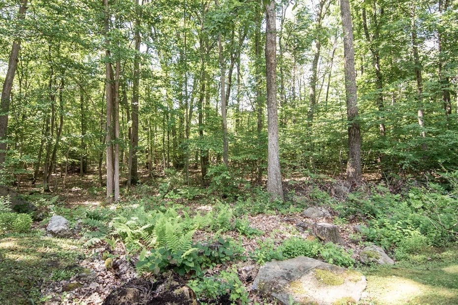 80 Lyman Rd Photo 7