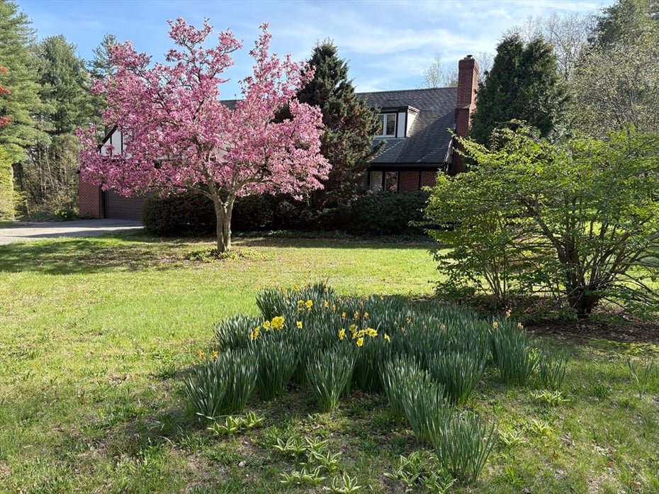 11 Juniper Drive Photo 5