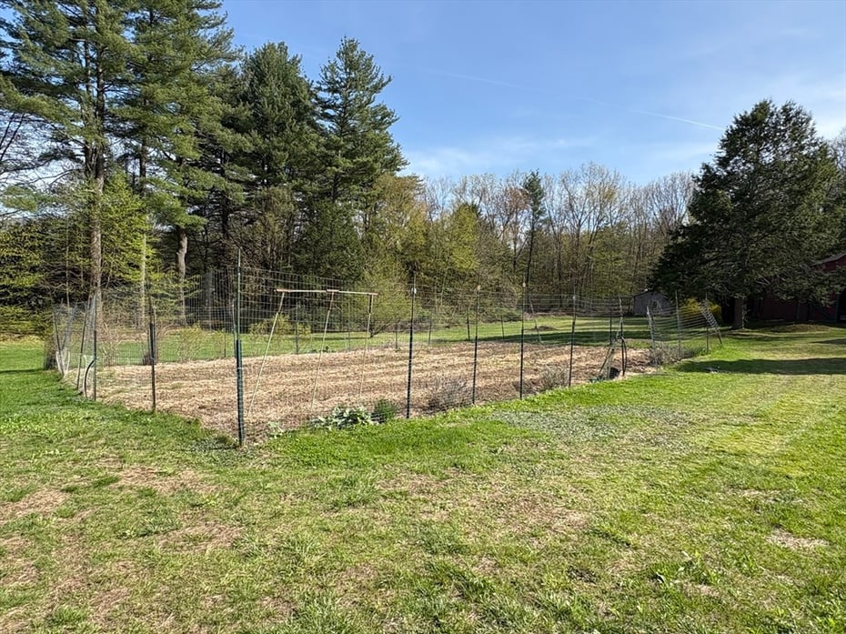 11 Juniper Drive Photo 39