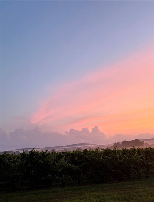 0 Straits Road Photo 4