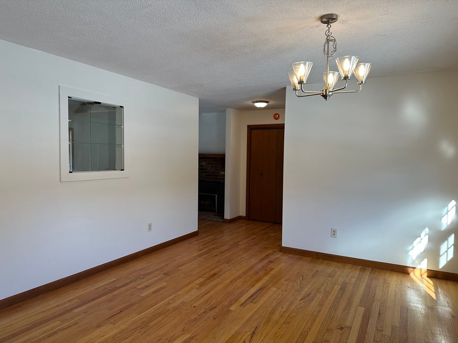 3 Adams Court  #A Photo 19