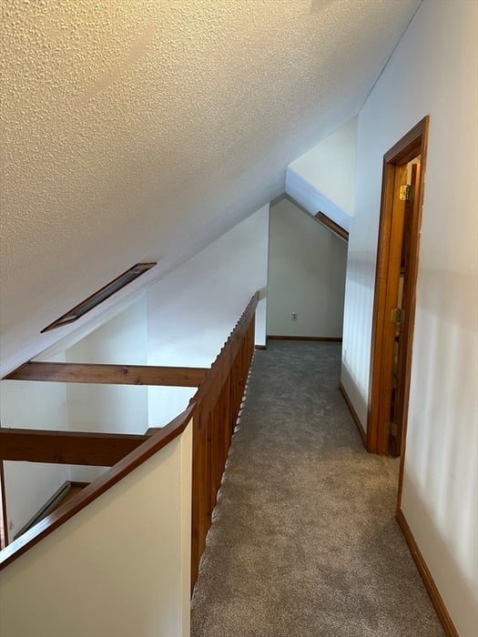 3 Adams Court  #A Photo 34