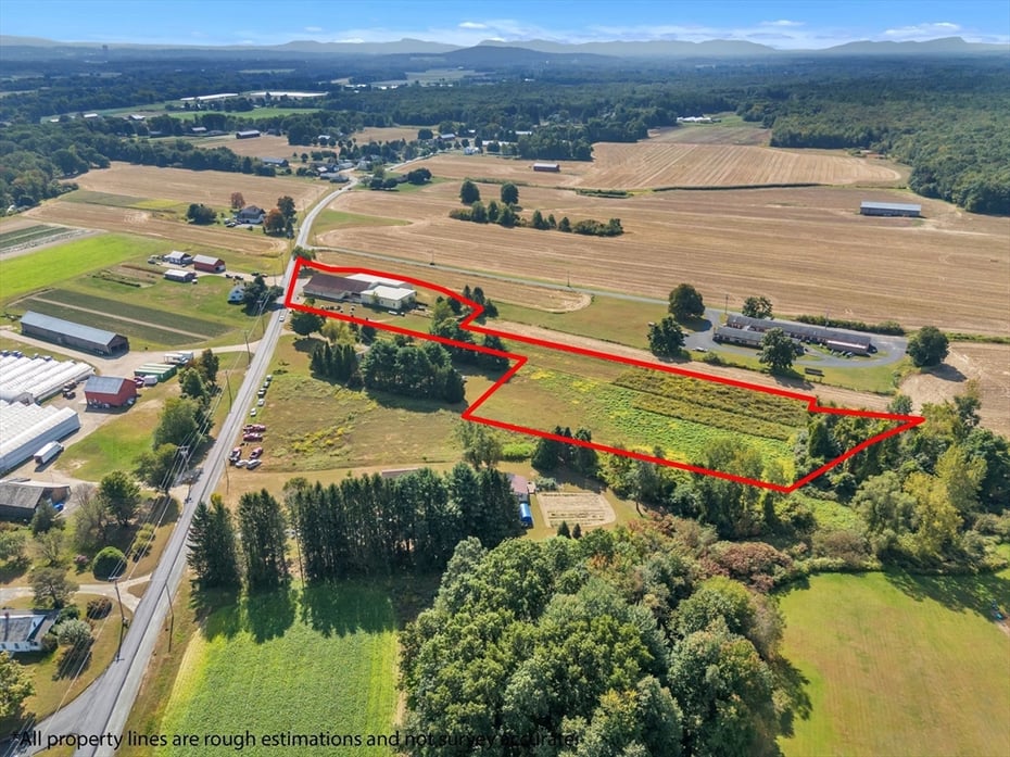 203 Long Plain Rd Photo 40