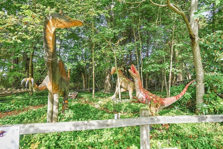 213 Greenfield Rd Photo 37