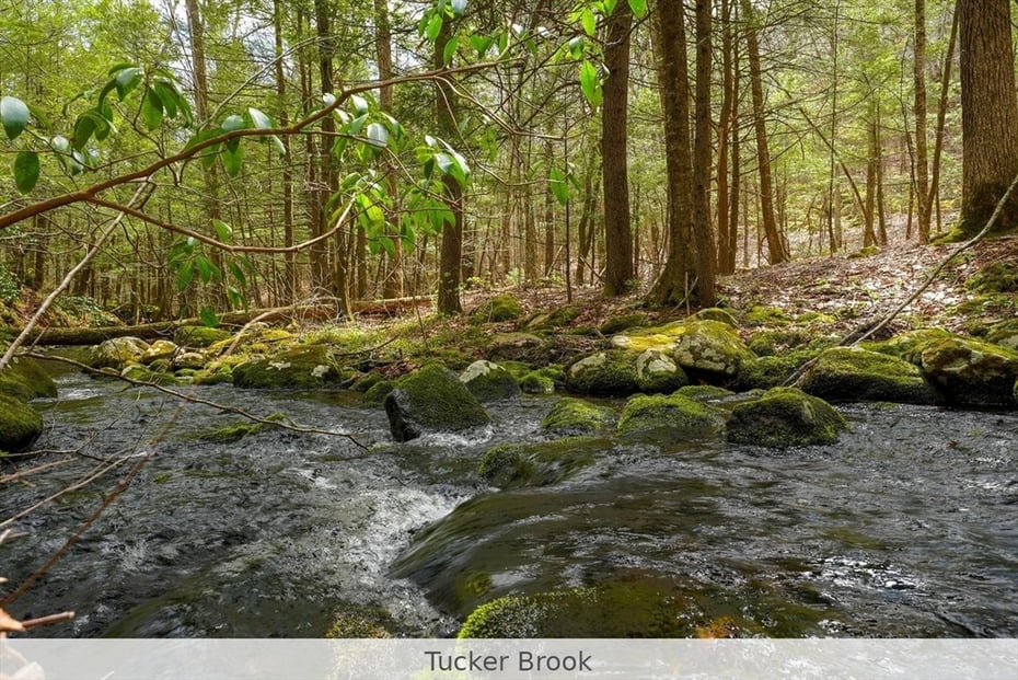 291 Fomer Road Photo 19