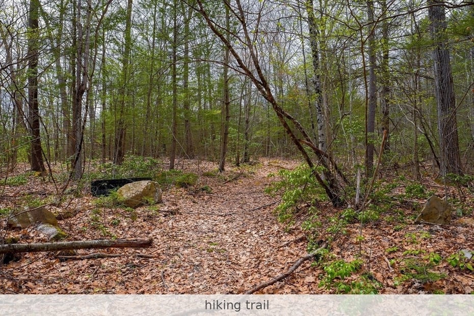 291 Fomer Road Photo 16