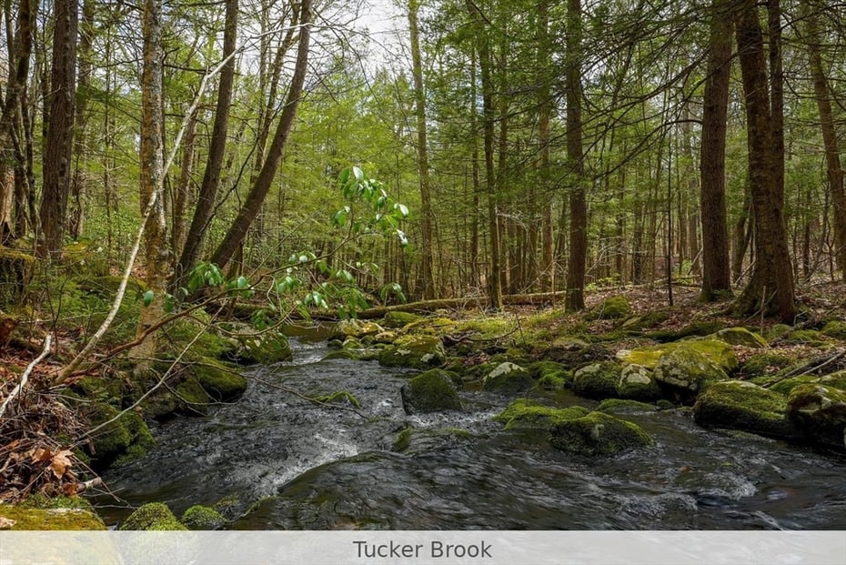 291 Fomer Road Photo 20