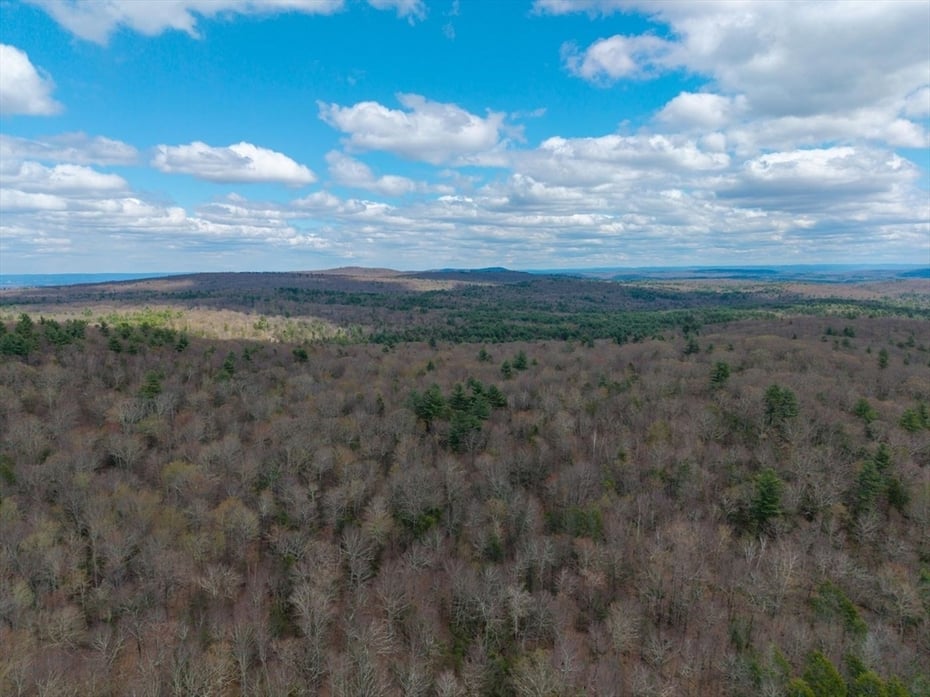 291 Fomer Road Photo 14