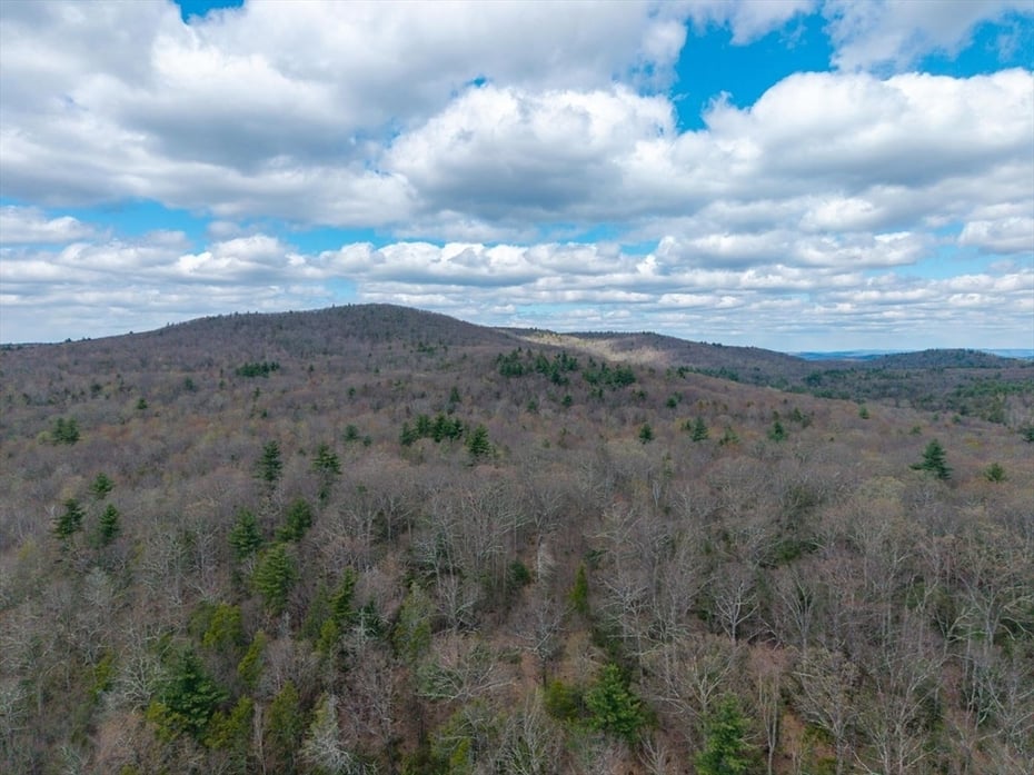 291 Fomer Road Photo 10
