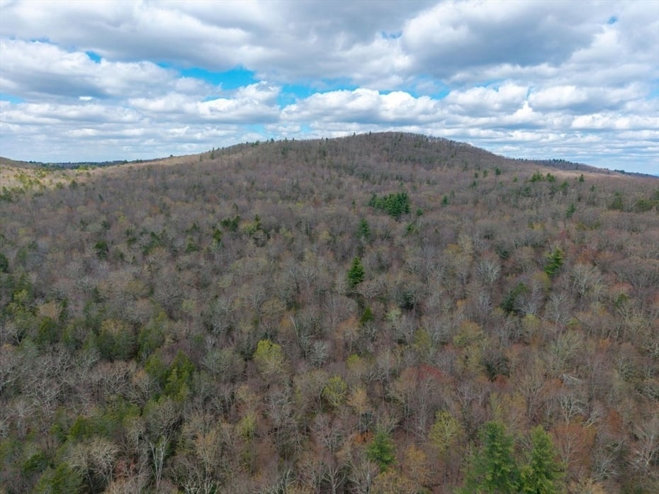 291 Fomer Road Photo 13