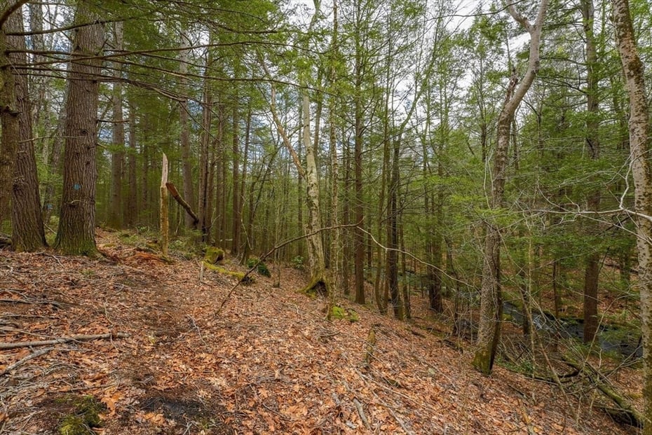 291 Fomer Road Photo 18