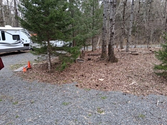 41 Brier Rd Photo 6