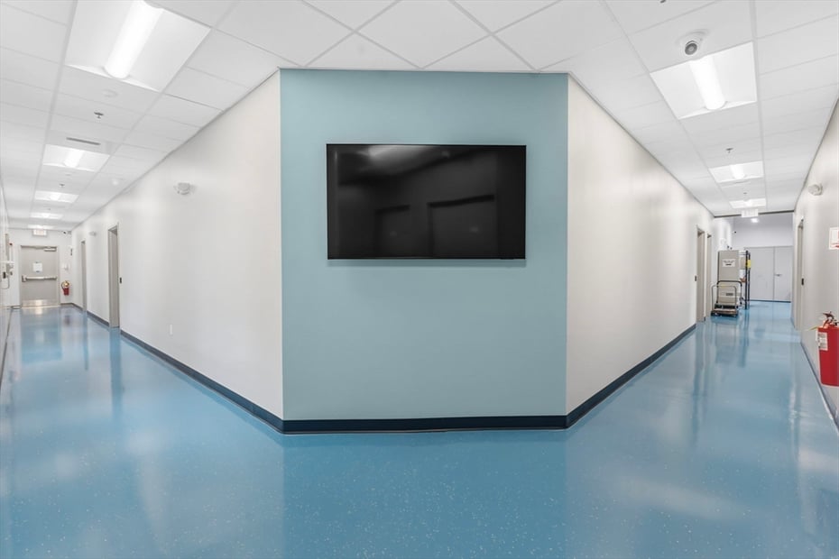 193-195 Northampton St Photo 16