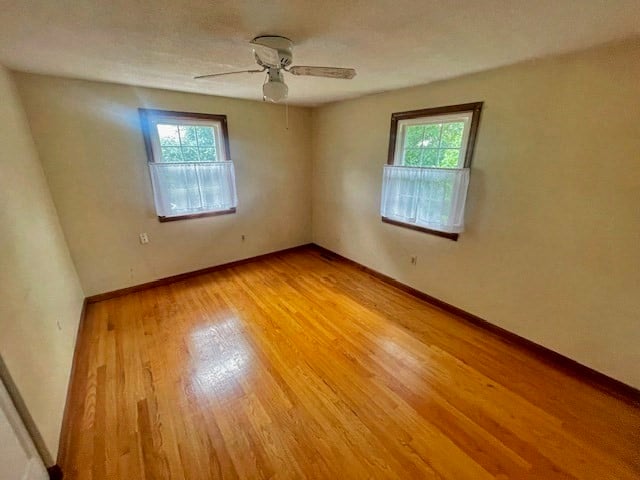 73 Elm Street Photo 14