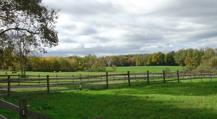 Litchfield>