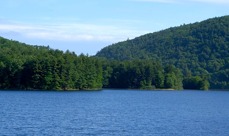 New Hartford>