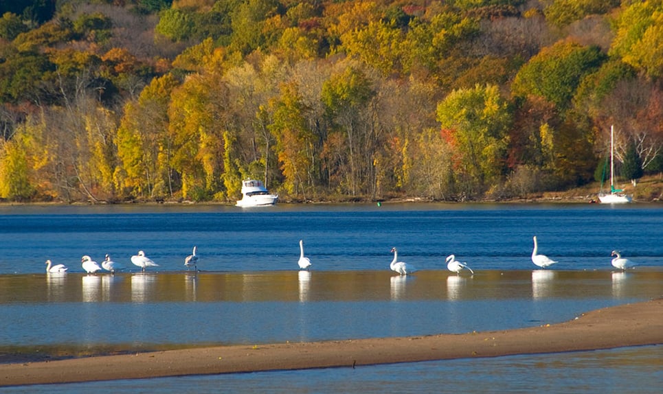 Haddam>