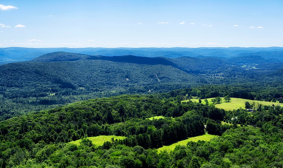 Litchfield Hills>