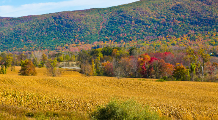 Copake>