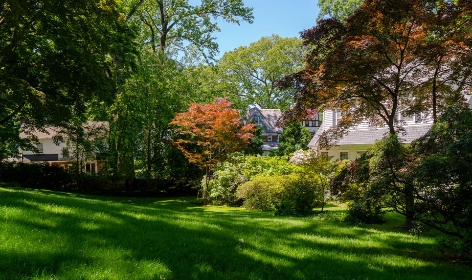 Mount Kisco>