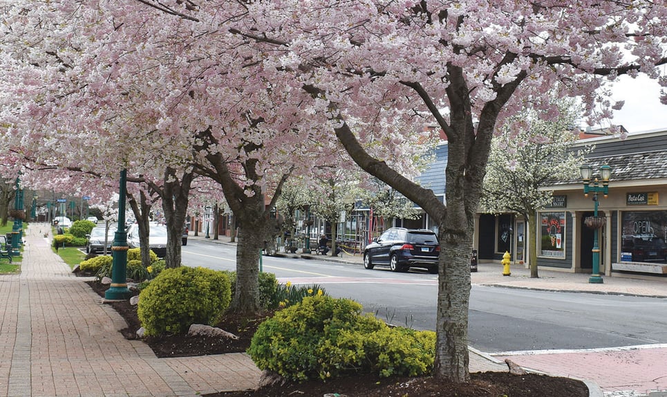 Branford></noscript>