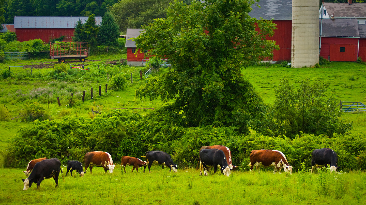 Goshen, CT Real Estate Guide William Pitt Realty