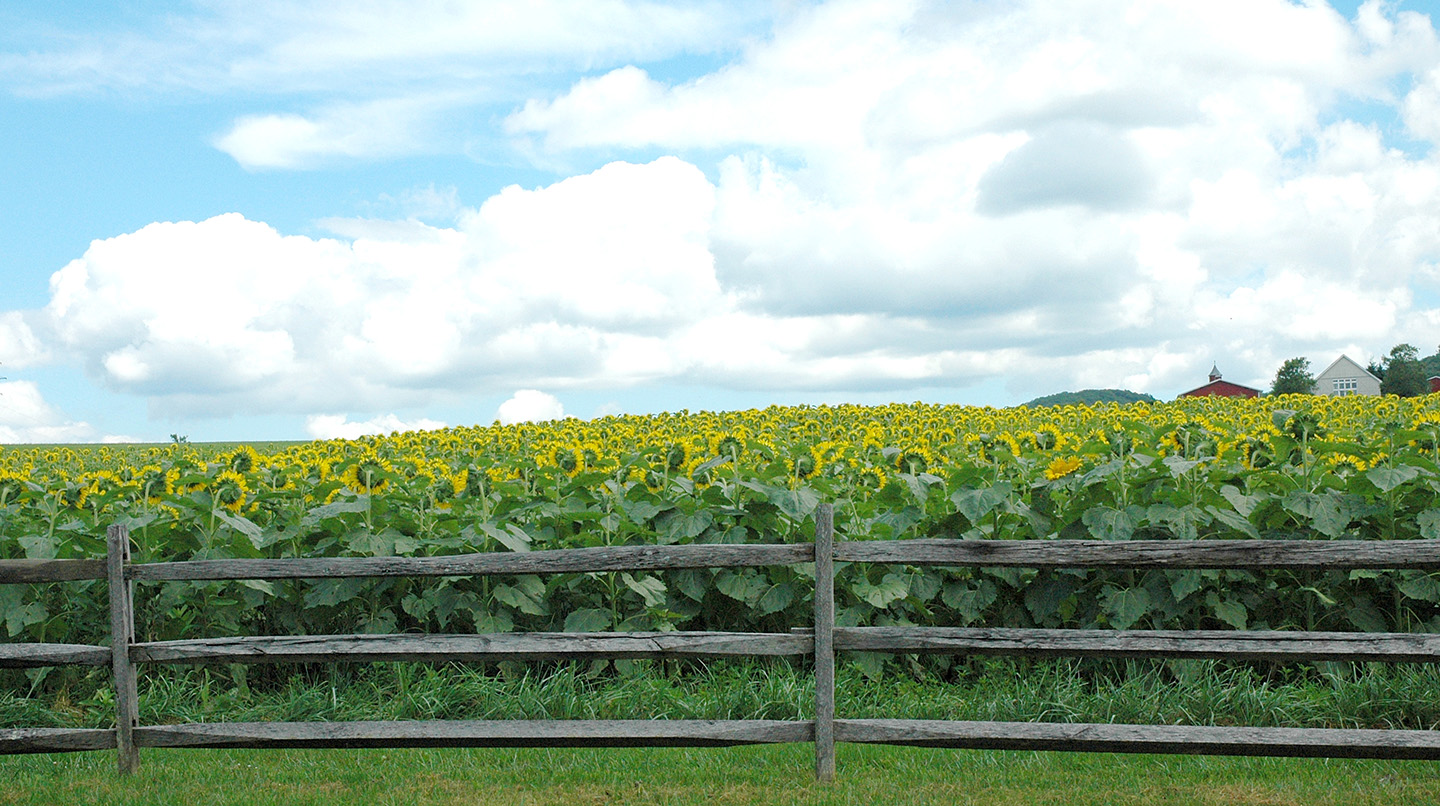 Salisbury, CT Real Estate Guide William Pitt Sotheby's Realty