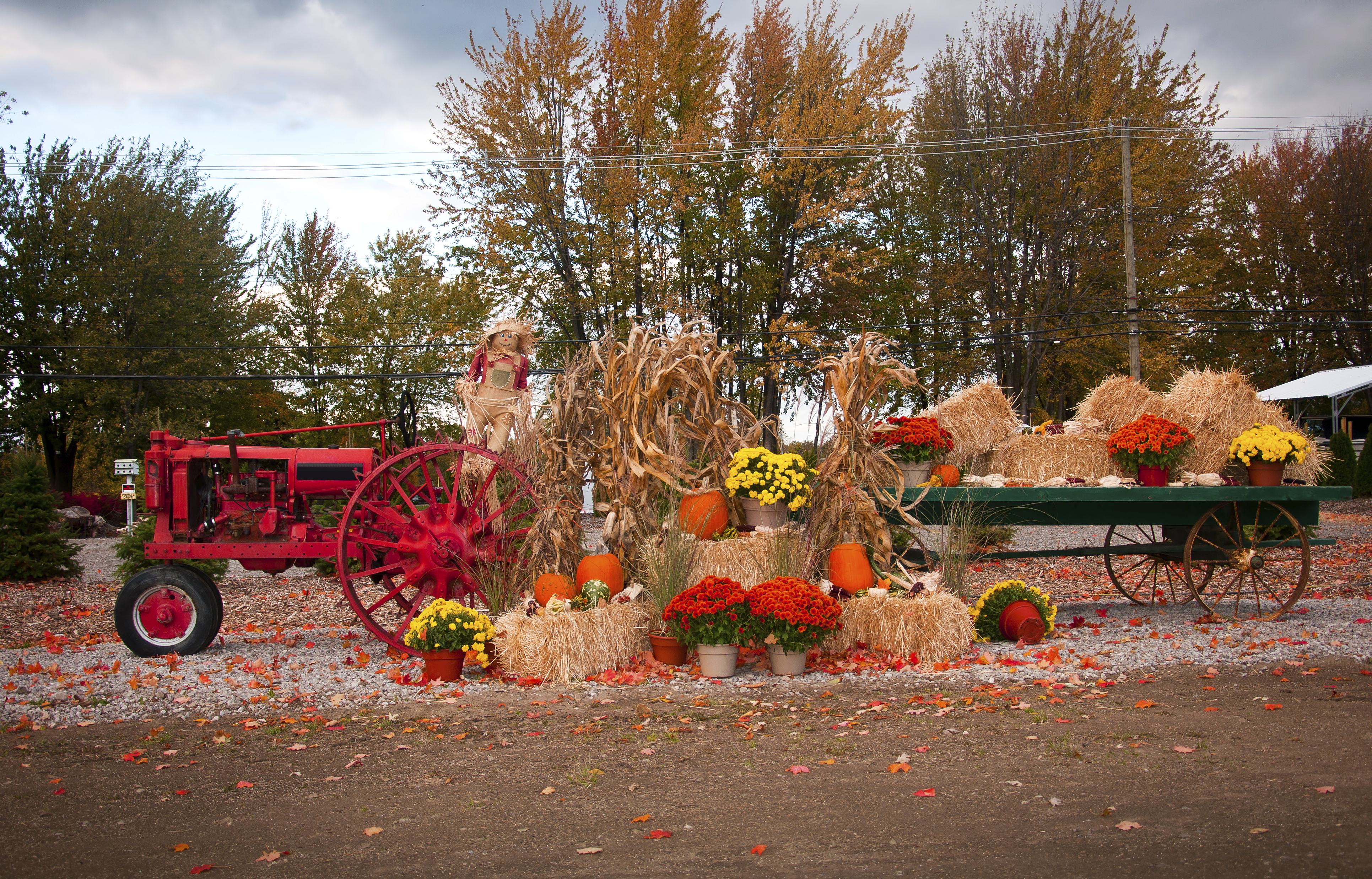 Take Your Pick The Best Apple Orchards Around William Pitt Sotheby's
