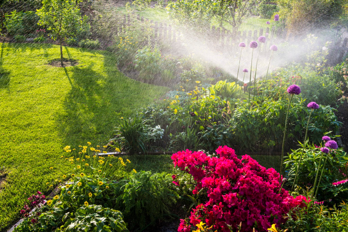 Watering flowerbeds