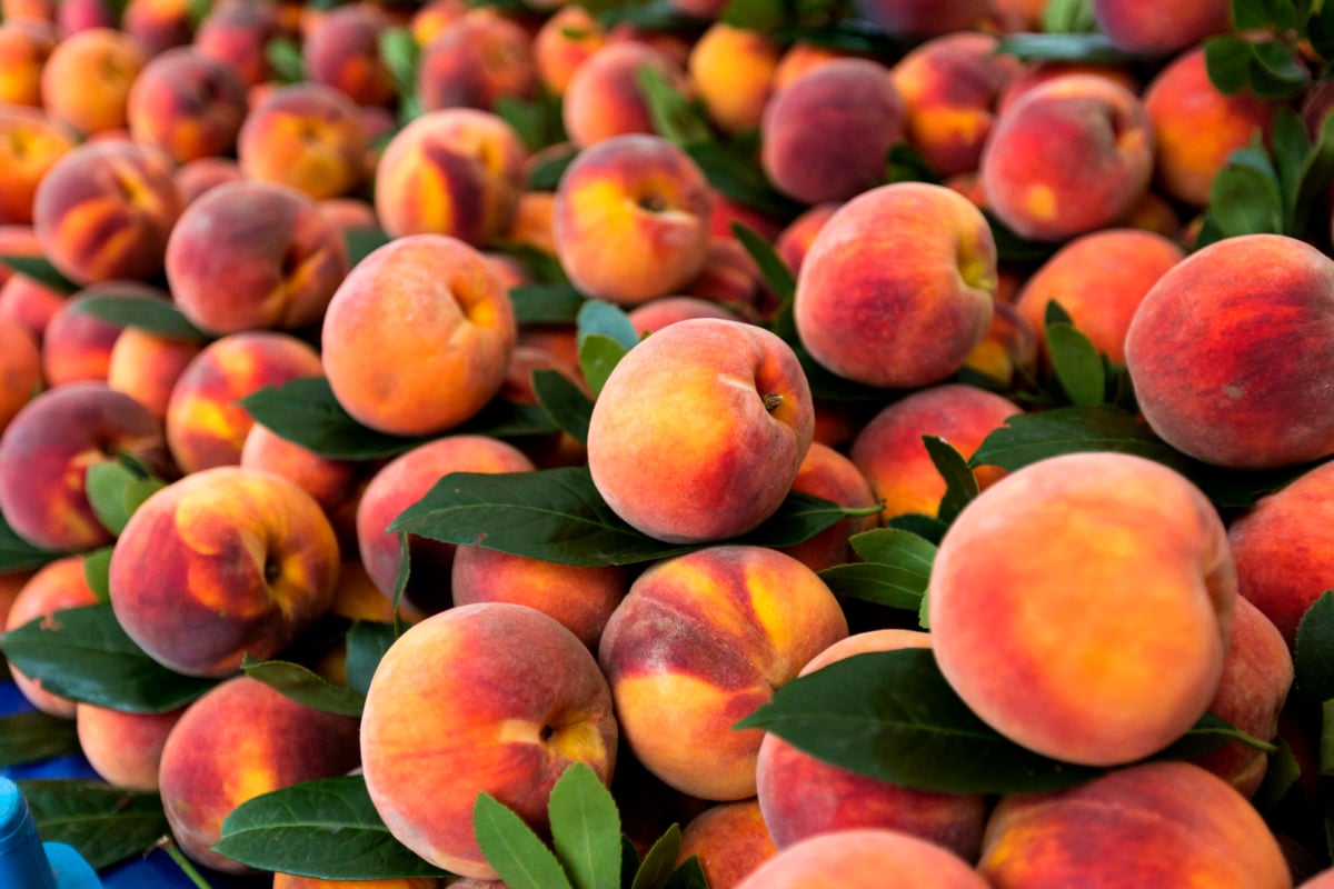 Fresh Peaches