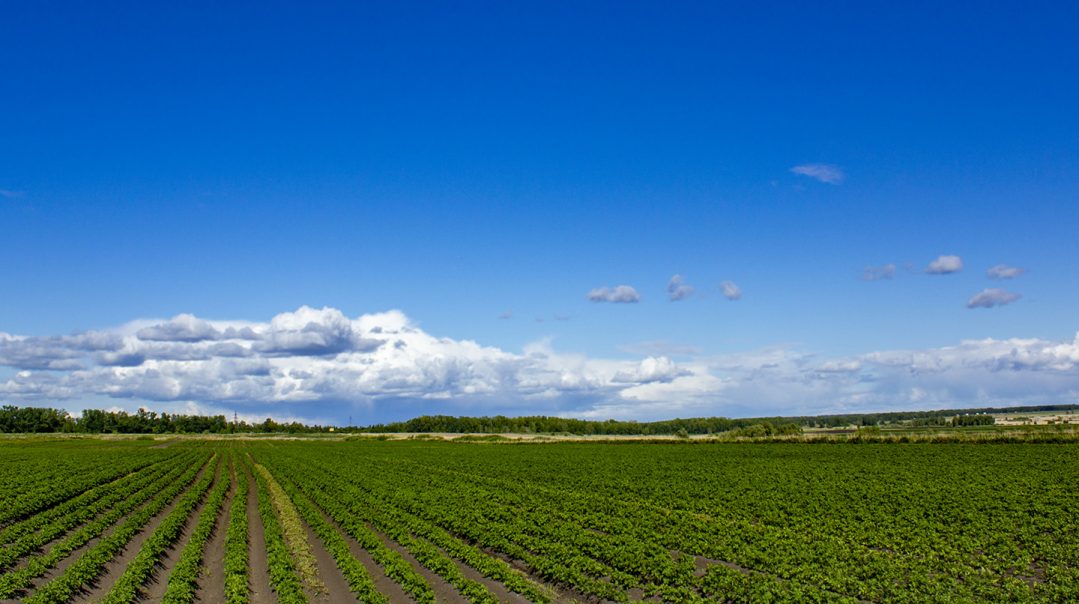 Hadley Real Estate & Lifestyle Guide William Pitt Sotheby's Realty