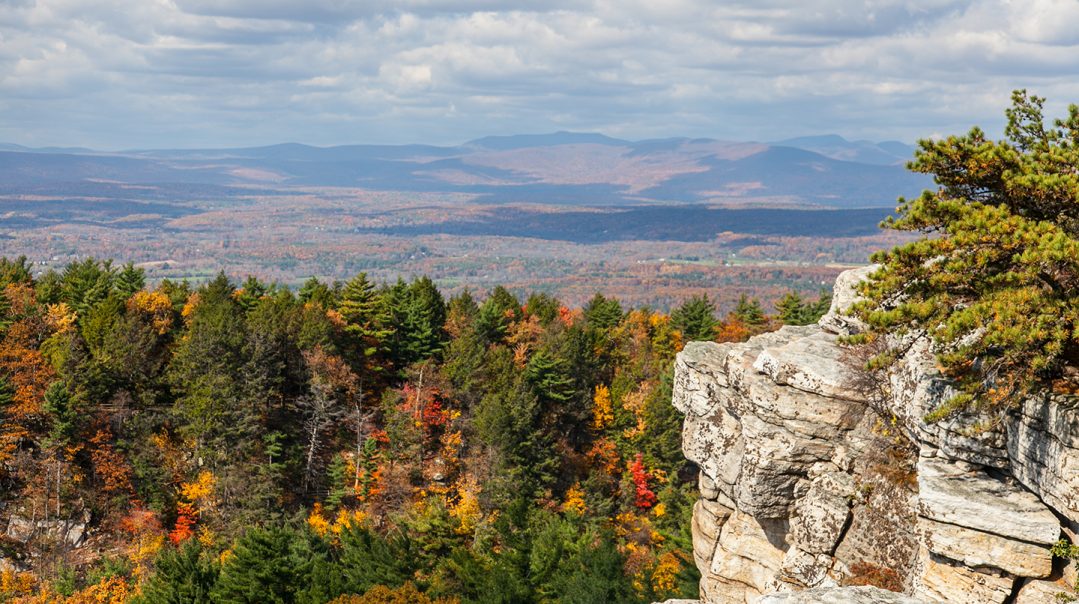 Gardiner, NY