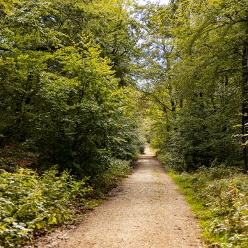 Hiking Trail