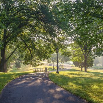 Central Park in New York City in the summer